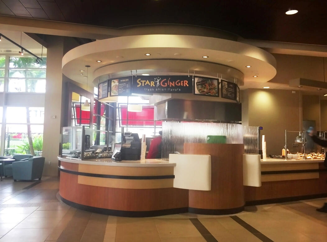 The University of Tampa-Star Ginger