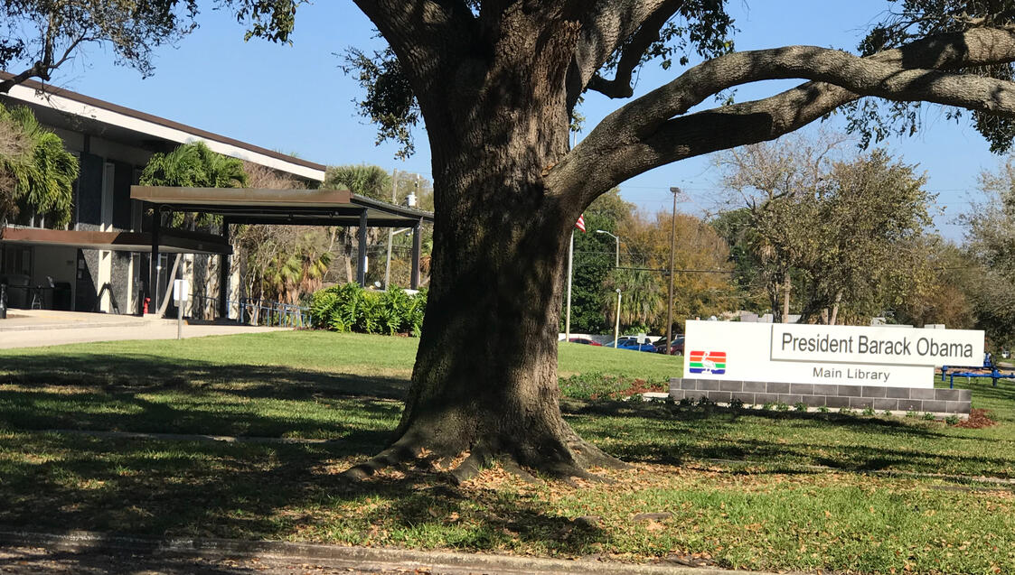 St. Petersburg-Obama Library (In-Progress)